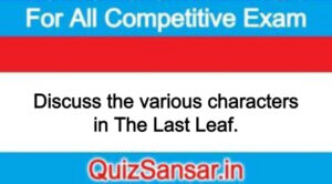 Discuss the various characters in The Last Leaf.