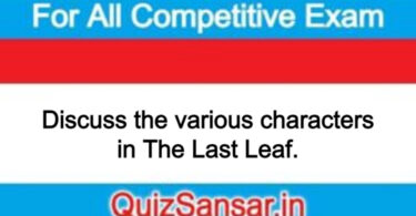 Discuss the various characters in The Last Leaf.