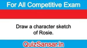 Draw a character sketch of Rosie.