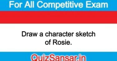 Draw a character sketch of Rosie.