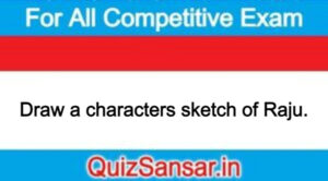 Draw a characters sketch of Raju.