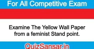 Examine The Yellow Wall Paper from a feminist Stand point.