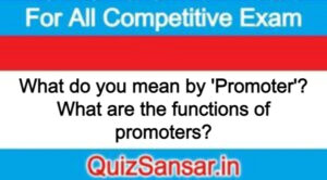 What do you mean by 'Promoter'? What are the functions of promoters?