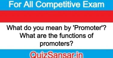 What do you mean by 'Promoter'? What are the functions of promoters?