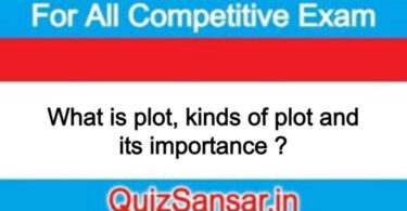 What is plot, kinds of plot and its importance ?