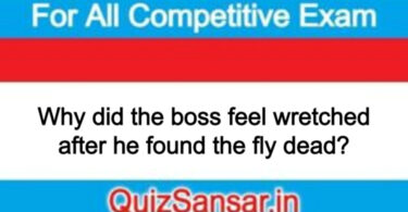 Why did the boss feel wretched after he found the fly dead?