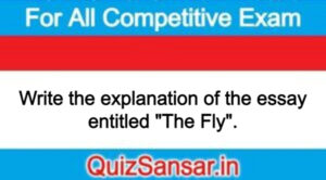 Write the explanation of the essay entitled "The Fly".