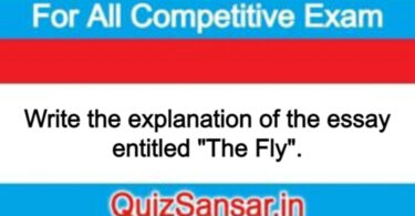 Write the explanation of the essay entitled "The Fly".