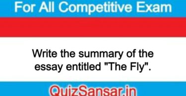 Write the summary of the essay entitled "The Fly".