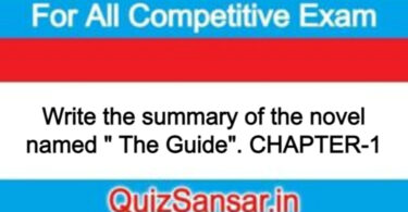 Write the summary of the novel named " The Guide". CHAPTER-1