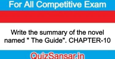 Write the summary of the novel named " The Guide". CHAPTER-10