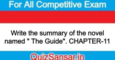 Write the summary of the novel named " The Guide". CHAPTER-11